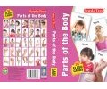 Parts of the Body-Flash Cards